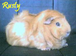 Rusty